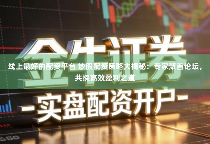 线上最好的配资平台 炒股配资策略大揭秘：专家聚首论坛，共探高效盈利之道