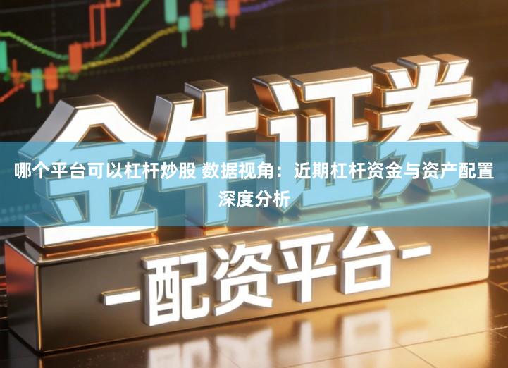 哪个平台可以杠杆炒股 数据视角：近期杠杆资金与资产配置深度分析