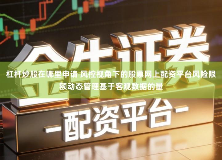 杠杆炒股在哪里申请 风控视角下的股票网上配资平台风险限额动态管理基于客观数据的量