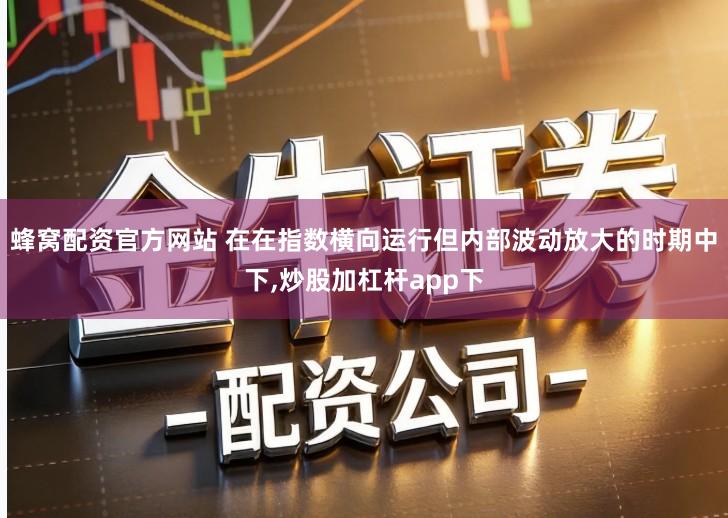 蜂窝配资官方网站 在在指数横向运行但内部波动放大的时期中下,炒股加杠杆app下